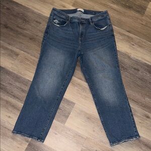 Lane Bryant 90’s Straight Leg Blue Jean